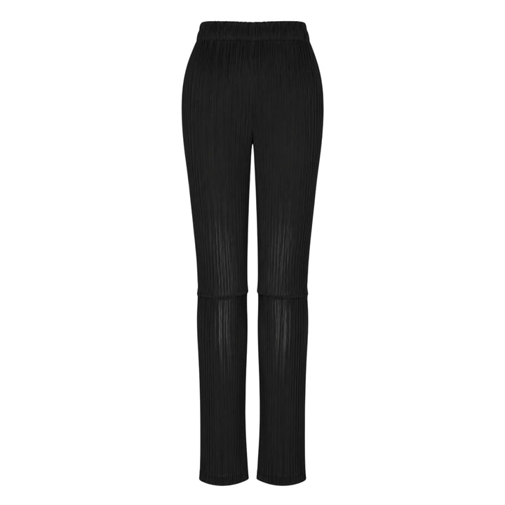 Sheer Slit Pleated Pants