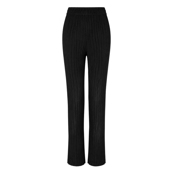 Sheer Slit Pleated Pants