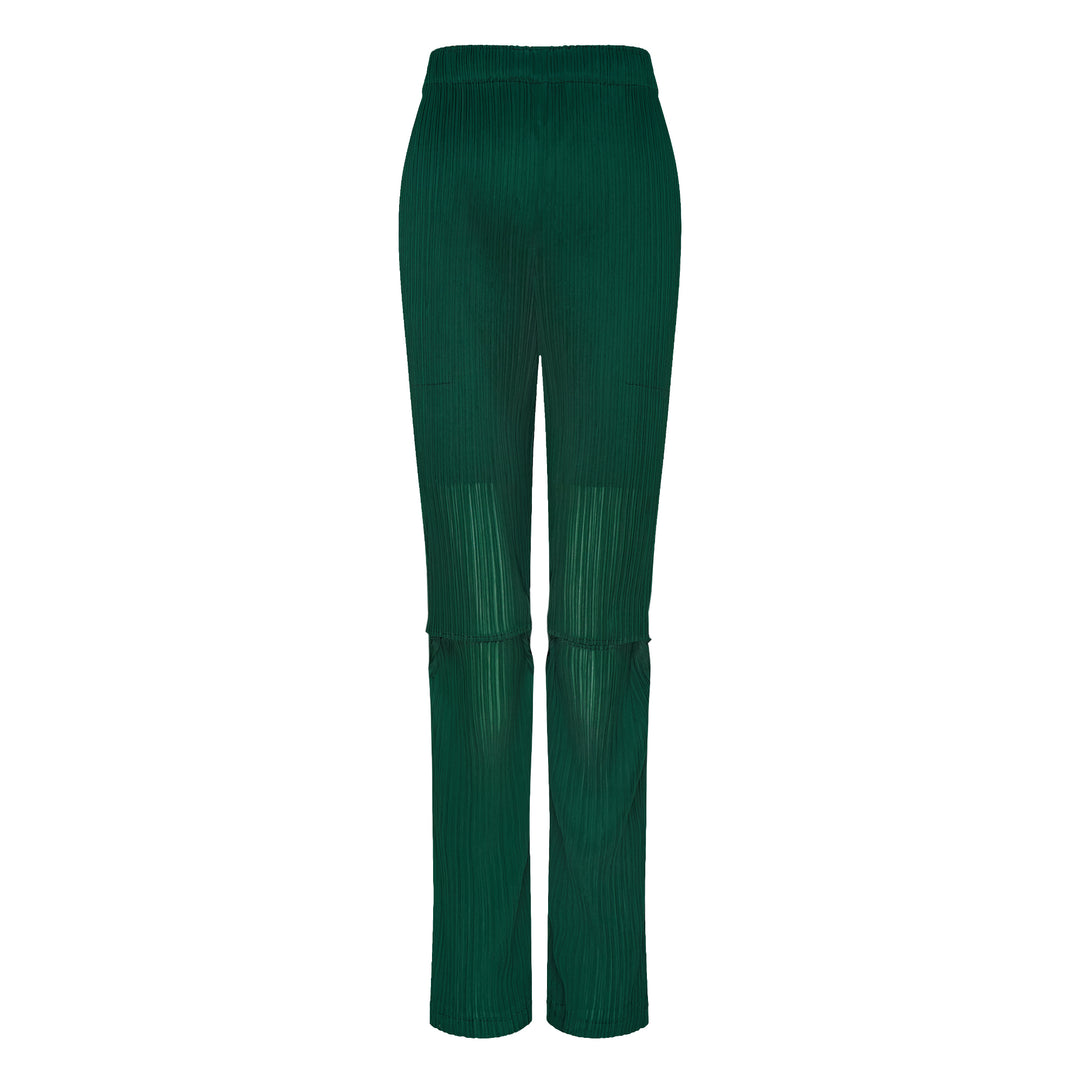 Sheer Slit Pleated Pants