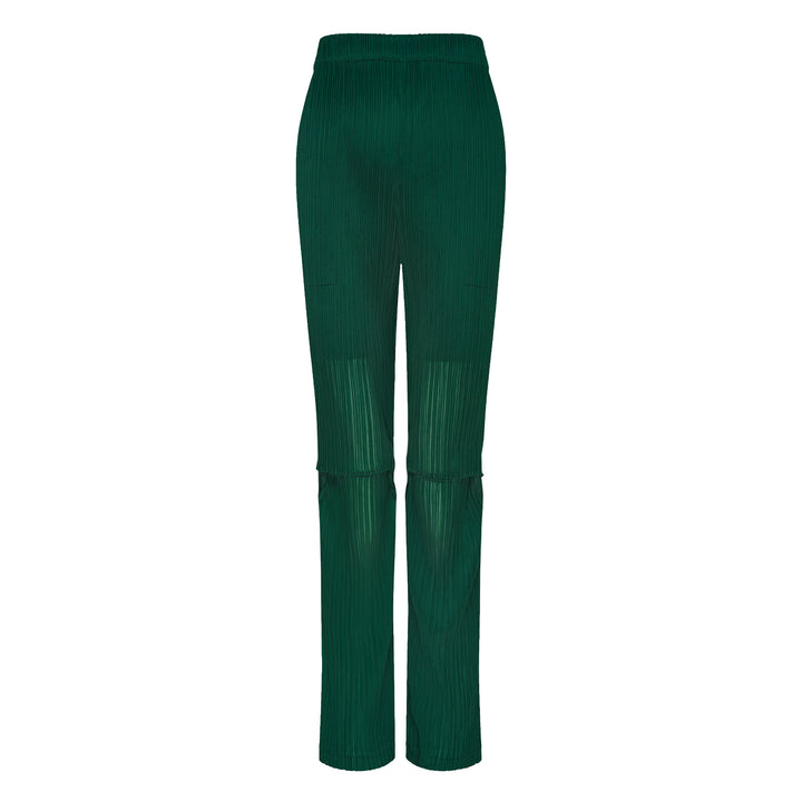 Sheer Slit Pleated Pants