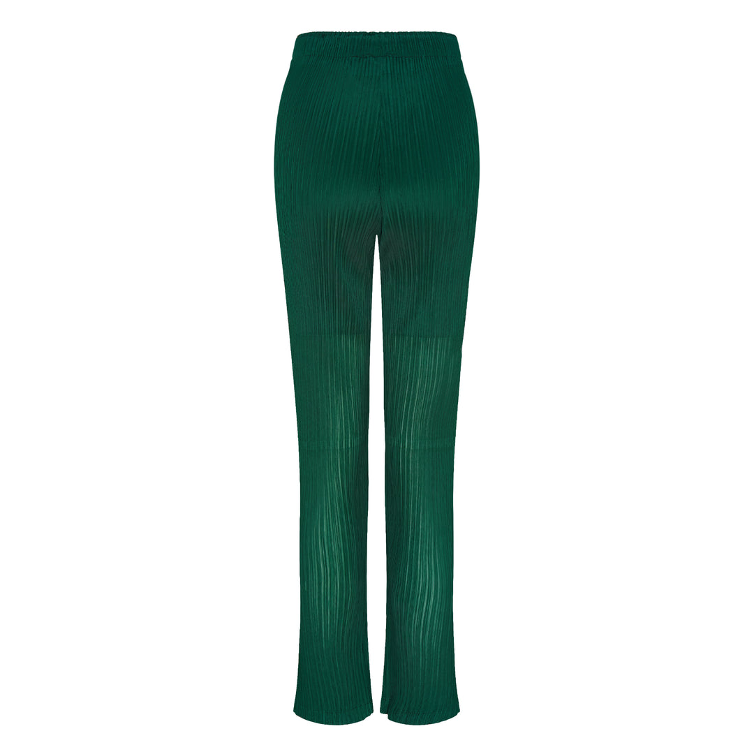 Sheer Slit Pleated Pants