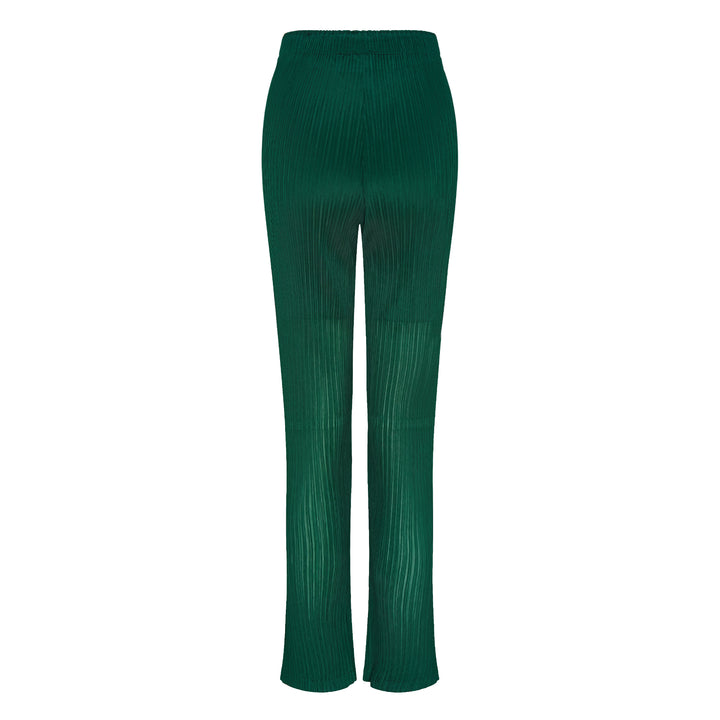 Sheer Slit Pleated Pants