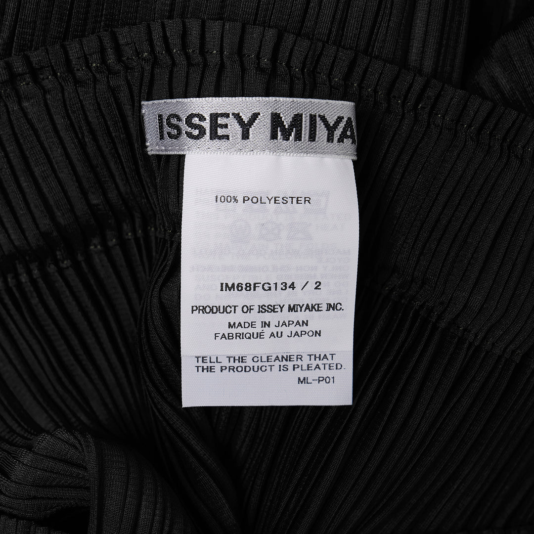 Sheer Slit Pleated Skirt