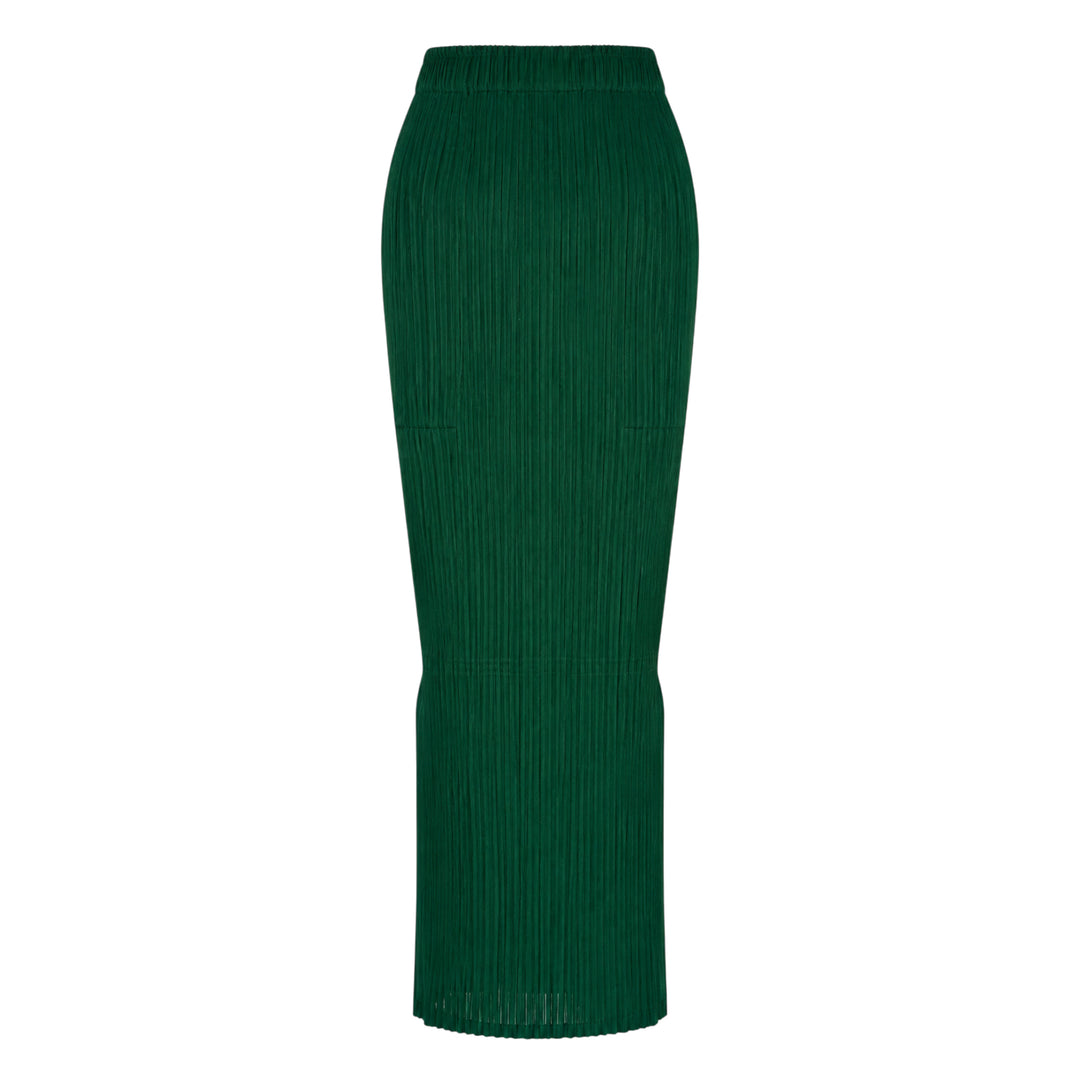 Sheer Slit Pleated Skirt
