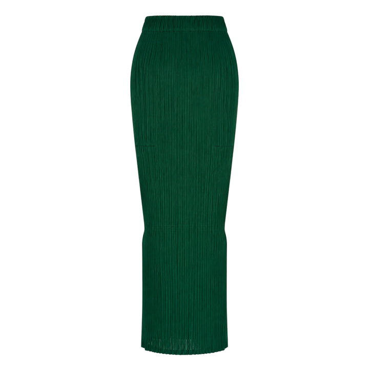Sheer Slit Pleated Skirt