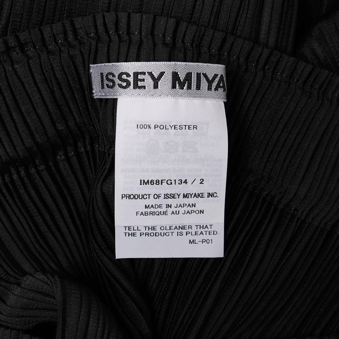 Sheer Slit Pleated Skirt