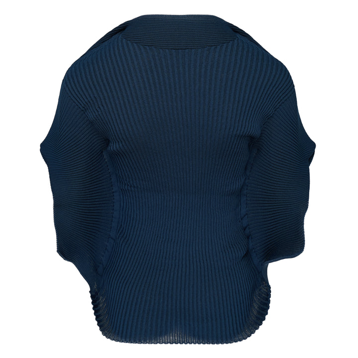 Prance Ribbed Knit Sweater