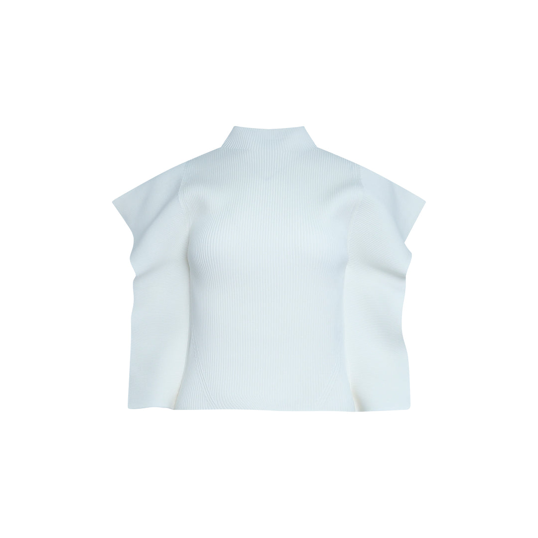Portrait Crease Knit Top