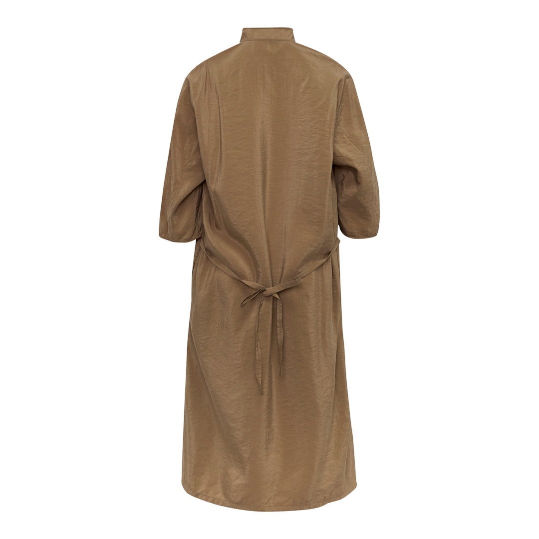Soft Collar Dry Silk Dress