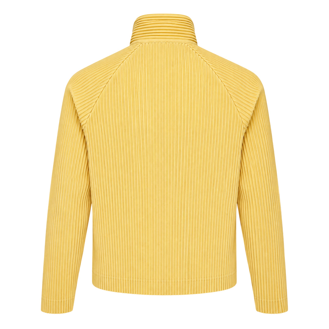 Tailored Pleats 1