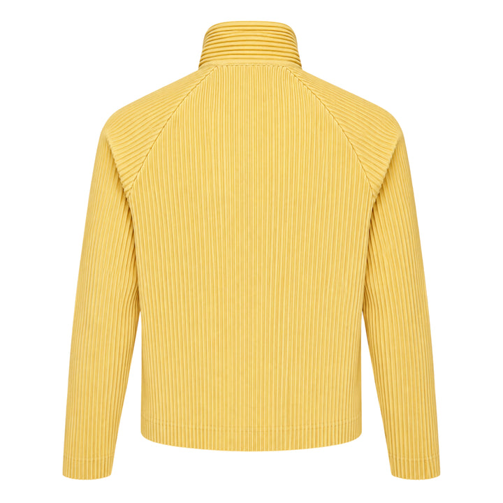 Tailored Pleats 1