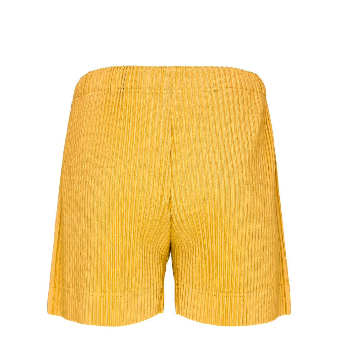 Color Pleats 1