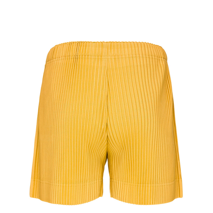 Color Pleats 1