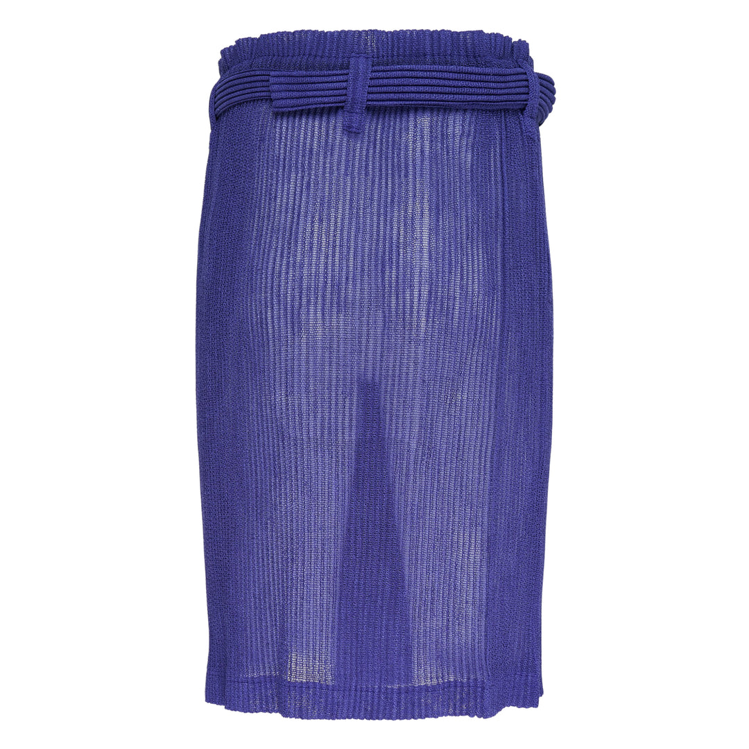 Rustic Mesh Pleated Skirt