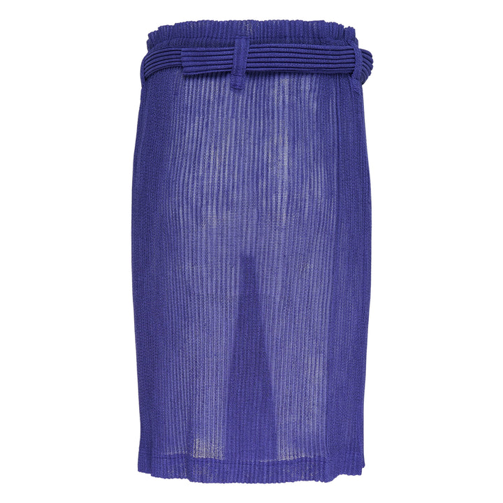 Rustic Mesh Pleated Skirt