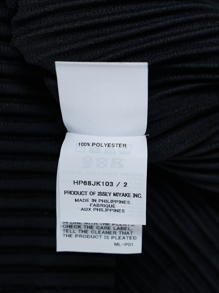 Homme Plissé Issey Miyake Monthly Colors October pleated long-sleeve top with mock neckline, shown from the front - view 4