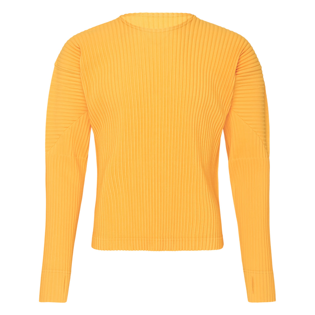 Color Pleats 1