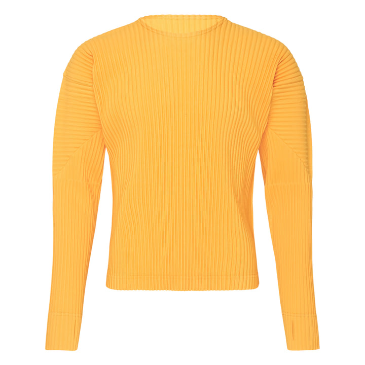 Color Pleats 1