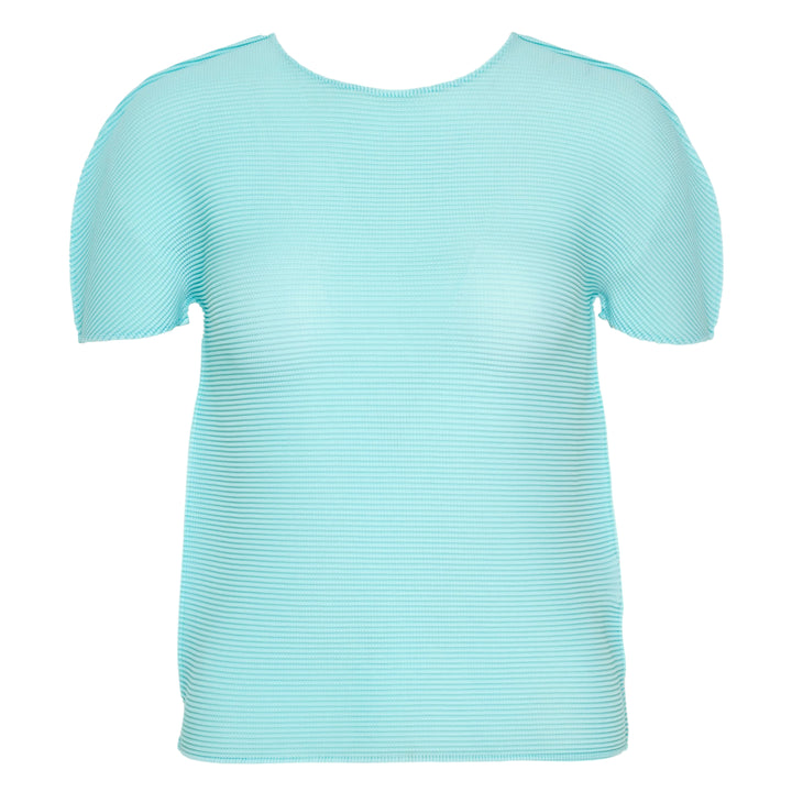 Stretch Pleats Short Sleeve Top