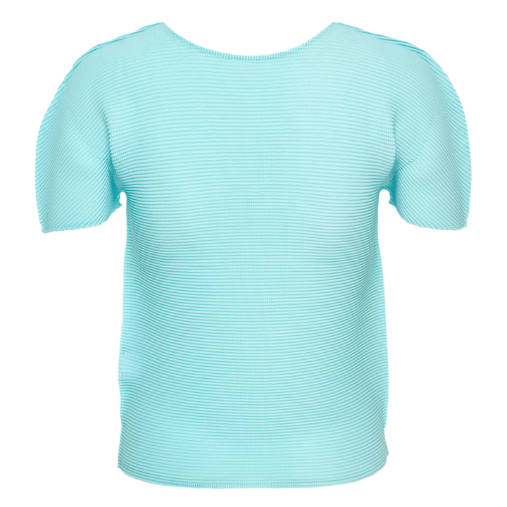Stretch Pleats Short Sleeve Top
