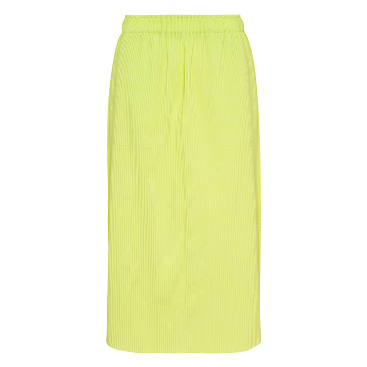 Mesh Pleats