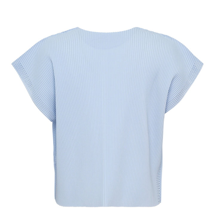 Mesh Pleats