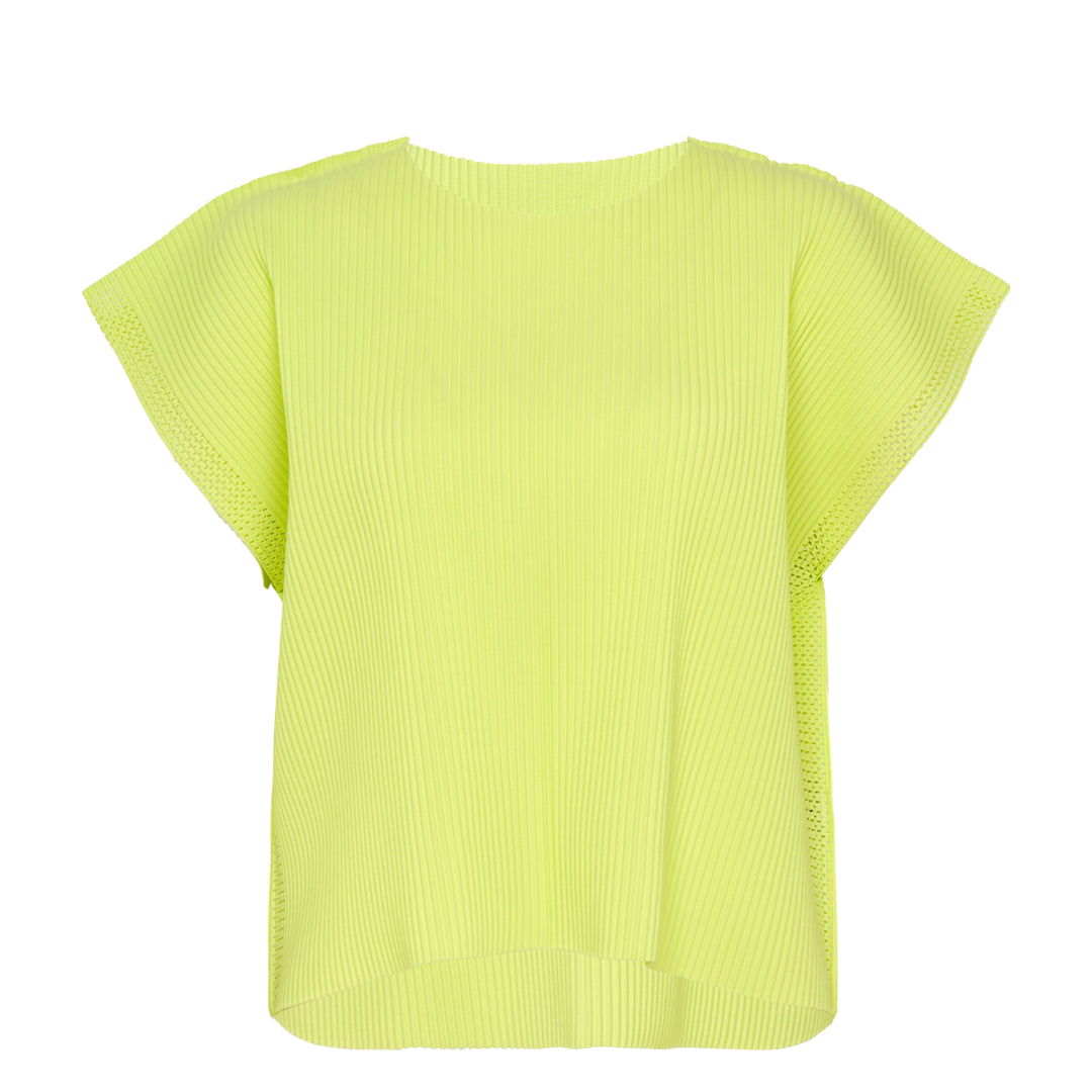 Mesh Pleats