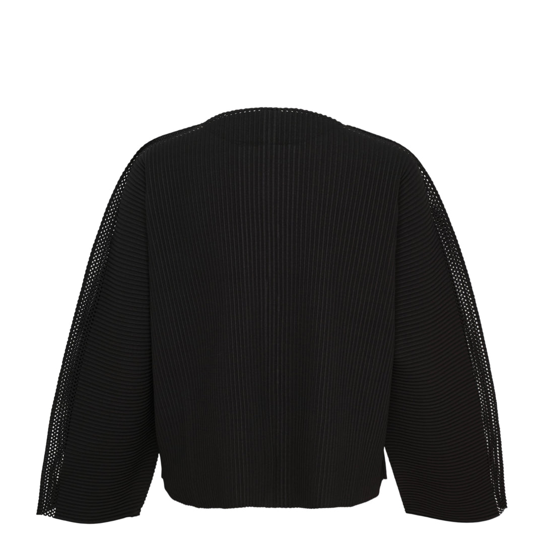 Mesh Pleats