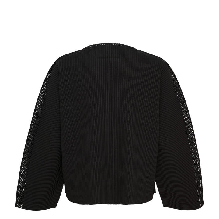 Mesh Pleats