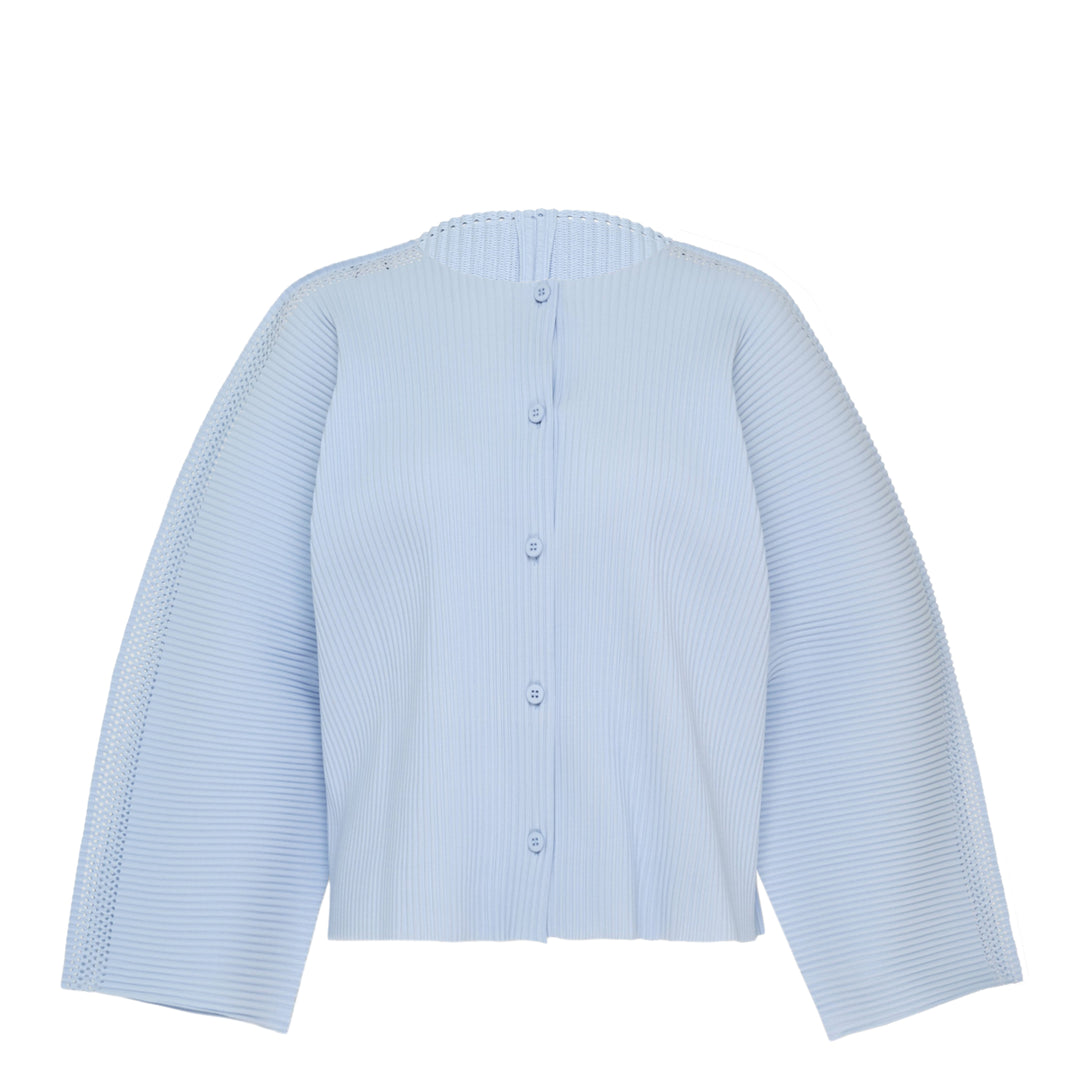 Mesh Pleats