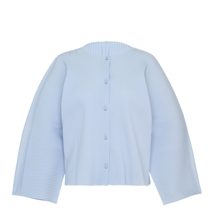 Mesh Pleats