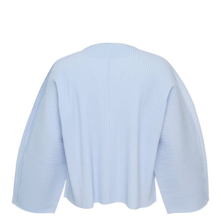 Mesh Pleats
