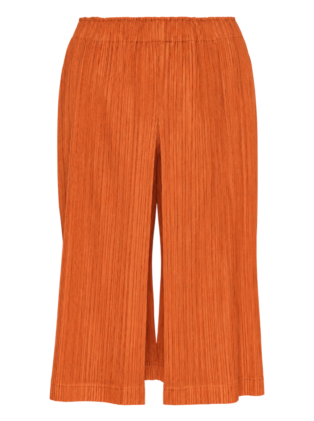 PLEATS PLEASE ISSEY MIYAKE Thicker Bottoms 2