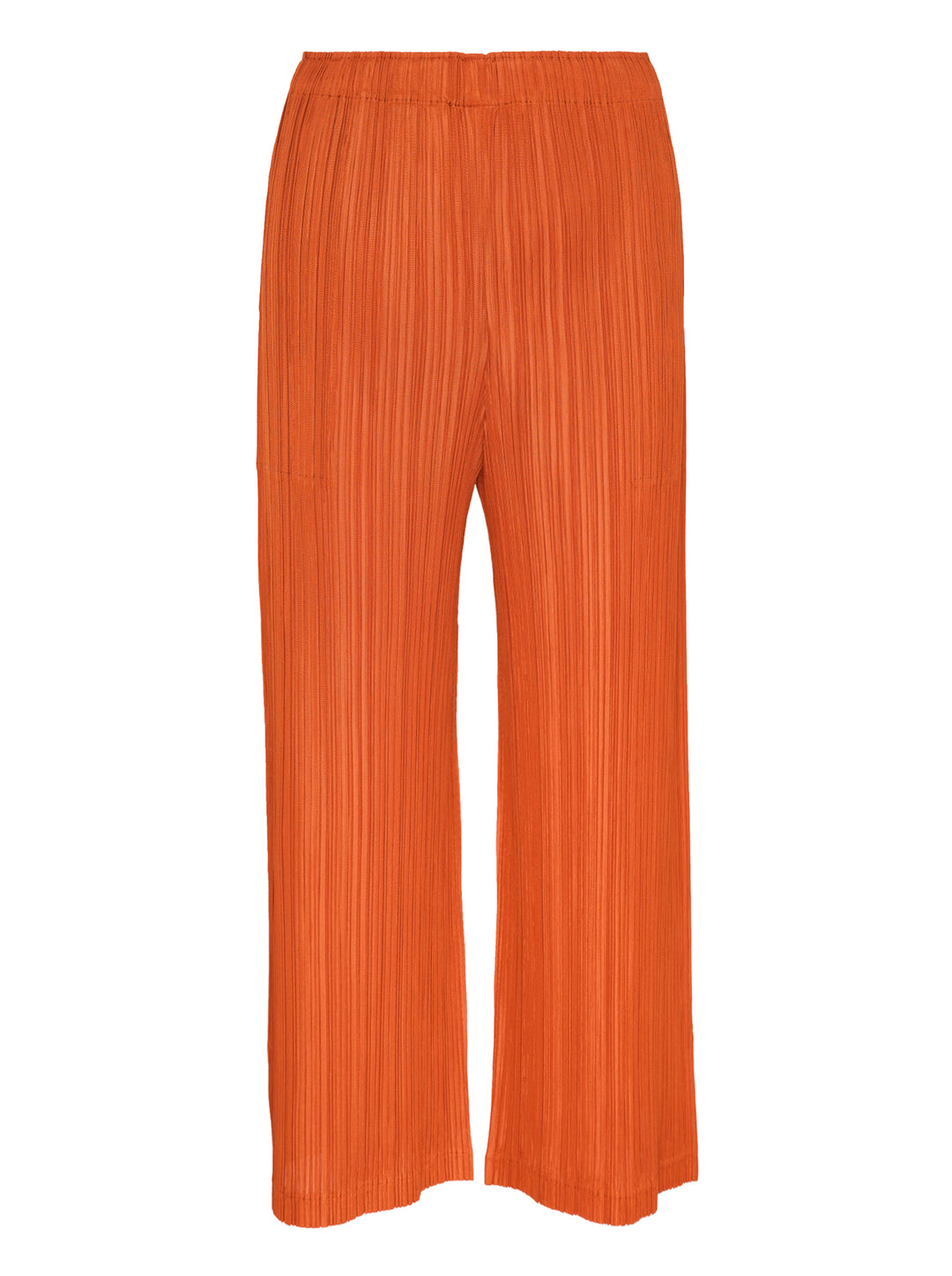 PLEATS PLEASE ISSEY MIYAKE Thicker Bottoms 2