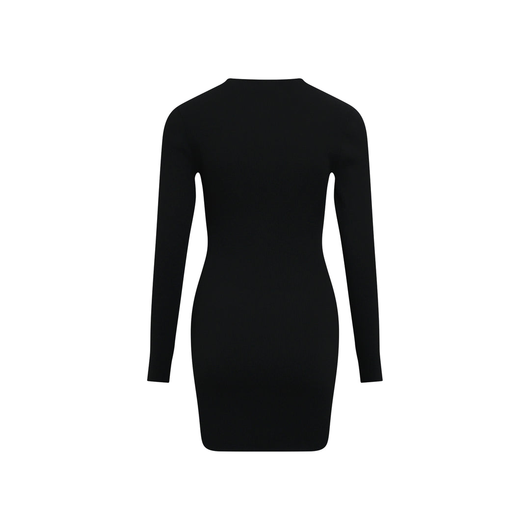 Long Sleeve Crew Neck Dress