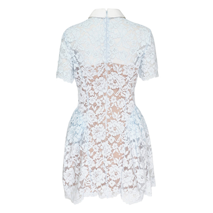 Blue Lace Flared Mini Dress