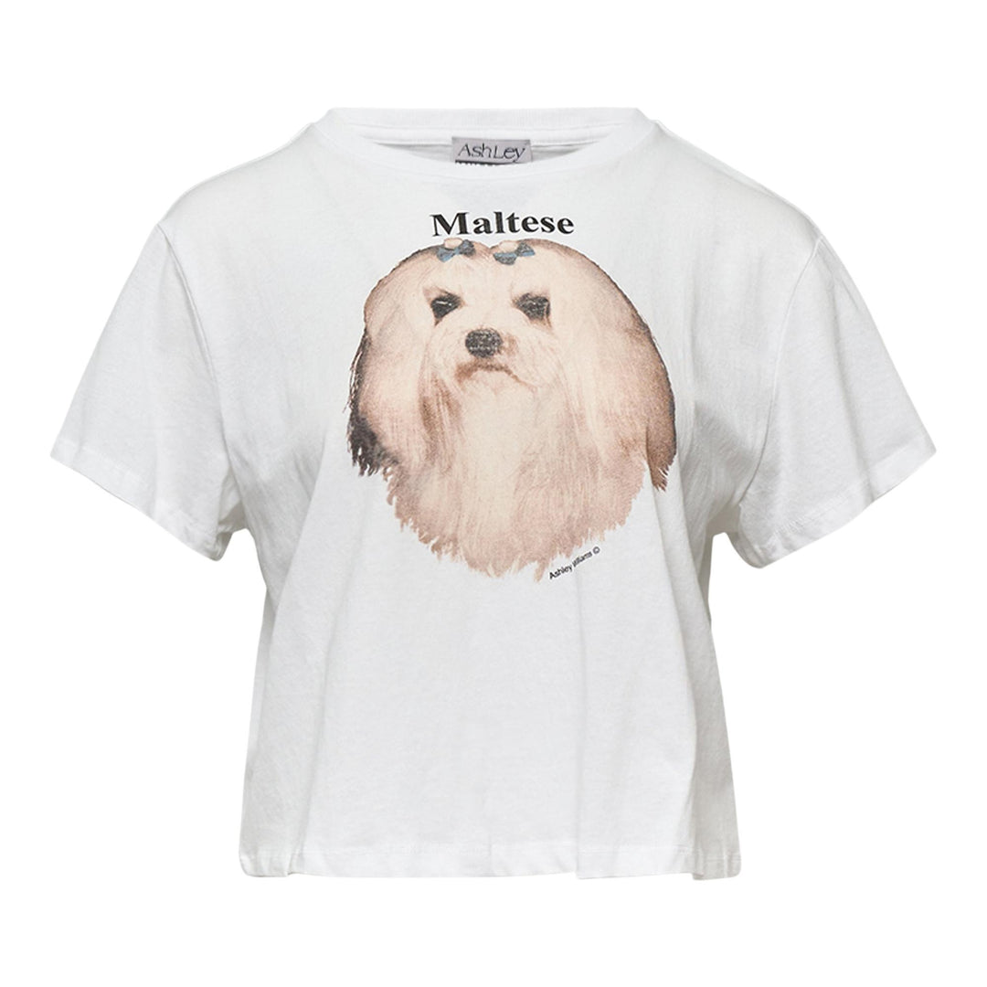 Club21 - Ashley Williams - White Cropped T-Shirt - TEES - White