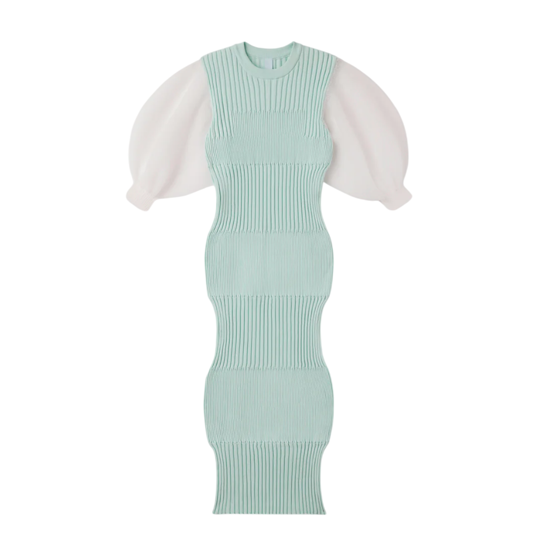 Fluted Lucent Puff Sleeve Dress