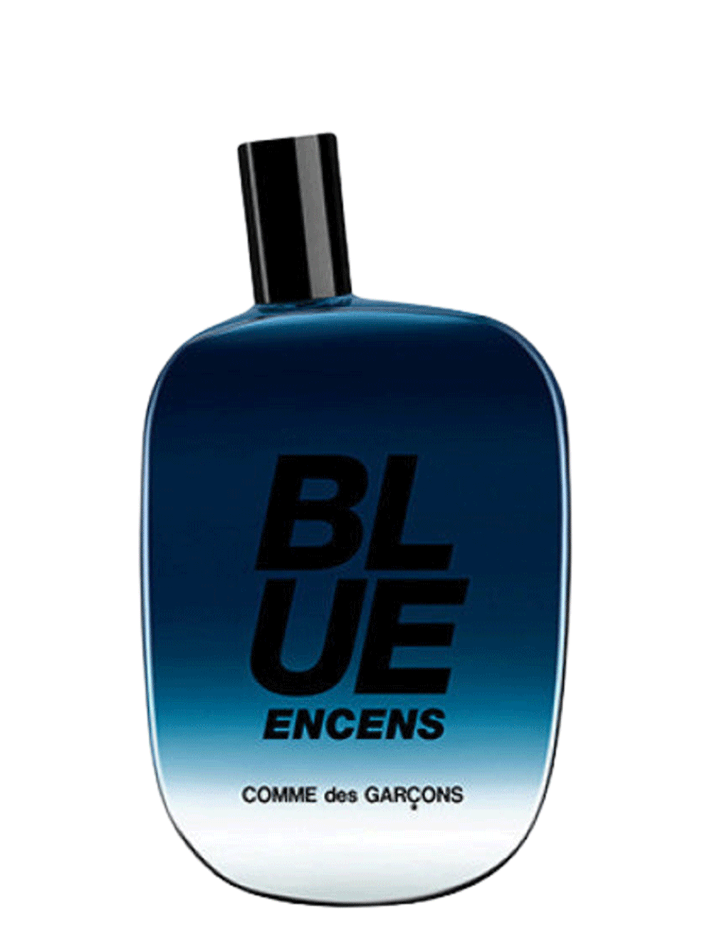 COMME-des-GARCONS-PARFUMS-Blue-Encense-100ml-Others-1