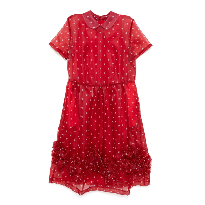 Polyester Organdy Polka Dots Dress