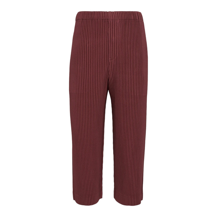 Club21 - HOMME PLISSE ISSEY MIYAKE - Monthly Colors: August Pants - PLEATED PANTS - Adamite Brown