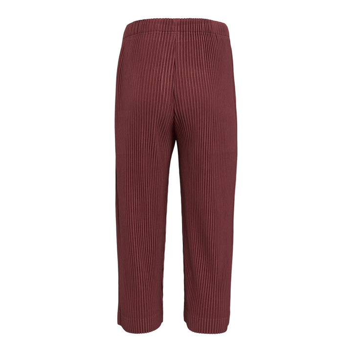Club21 - HOMME PLISSE ISSEY MIYAKE - Monthly Colors: August Pants - PLEATED PANTS - Adamite Brown
