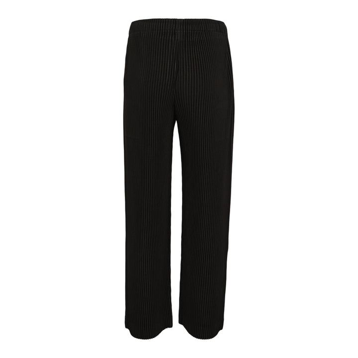 Club21 - HOMME PLISSE ISSEY MIYAKE - Monthly Colors: September Pants - PLEATED PANTS - Black