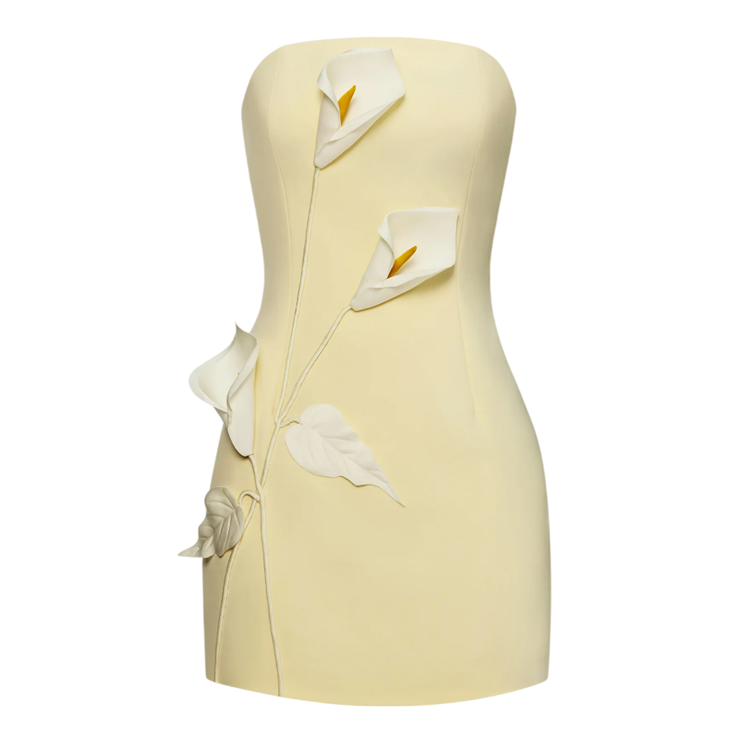 Strapless Floral Applique Dress