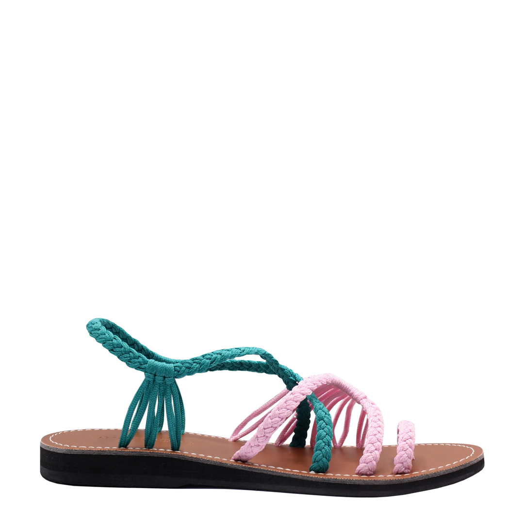 Explore Flamingo Teal
