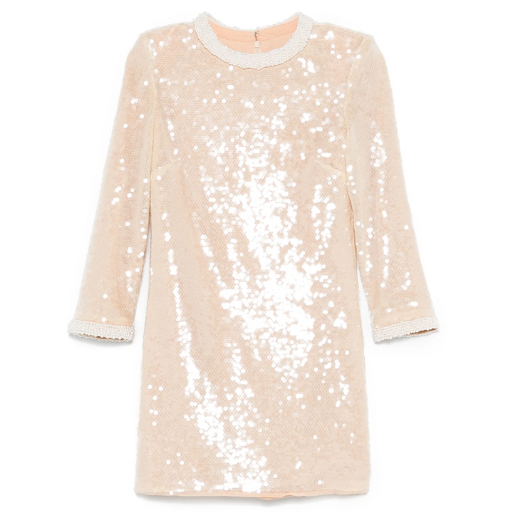 Pearl Trim Sequin Mini Dress