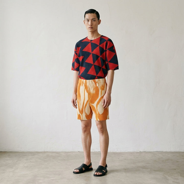Fruits & Vegetables Pleated Shorts | Homme Plissé Issey Miyake | Club21 - lifestyle