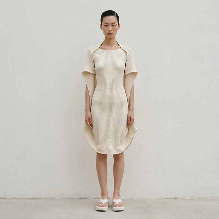 Issey Miyake Prance Knit Dress in black, rear view, showing ribbed construction, open-front silhouette, long sleeves, and curved hemline - lifestyle