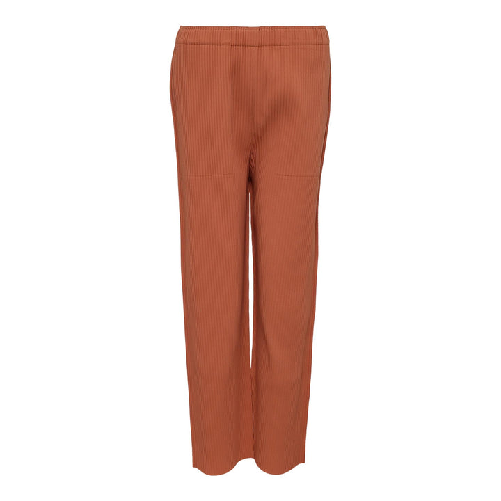 Club21 - me ISSEY MIYAKE - Fine Knit Pleats Bottom 1 Stripe Pants - PLEATED PANTS - Apricot