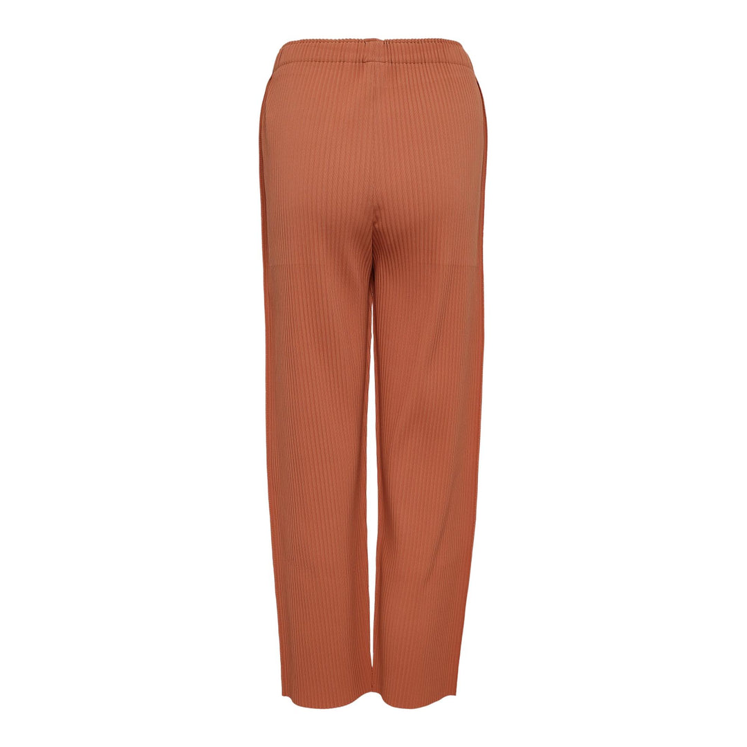Club21 - me ISSEY MIYAKE - Fine Knit Pleats Bottom 1 Stripe Pants - PLEATED PANTS - Apricot